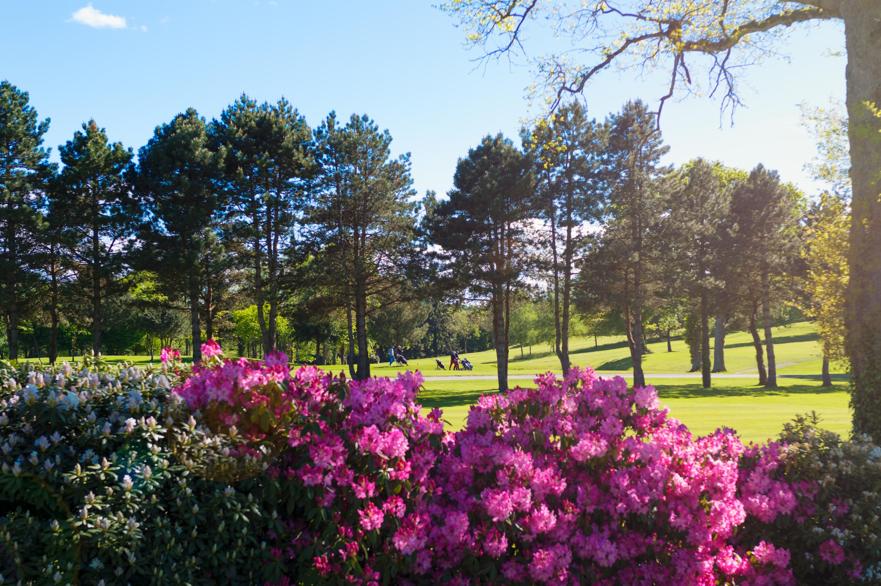Saint Malo Golf Resort Le Tronchet  Luaran gambar